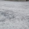 ALFOMBRA SEDA COD-82