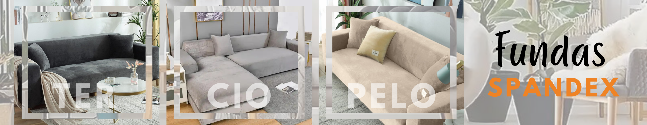 dtodoymas web banner principal 2